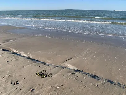 Texas City Dike